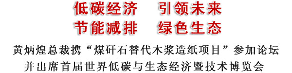 黃炳煌總裁參加國(guó)際低碳與生態(tài)經(jīng)濟(jì)發(fā)展高層論壇(圖2)